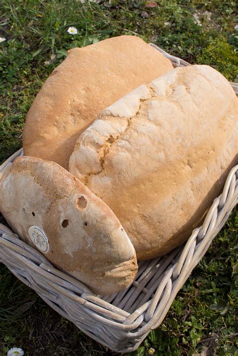 pane sciocco tuscany.